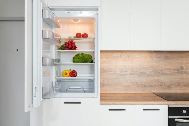 Fridge with different vegetable in modern kitchen