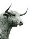 bull grayscale photo