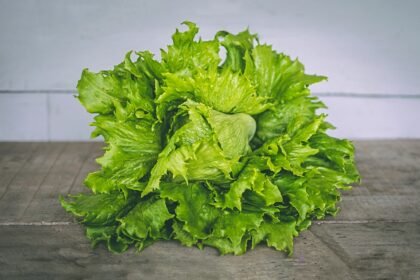 closeup photo of lettuce on gray surface