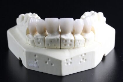 dentures, teeth, dental technician